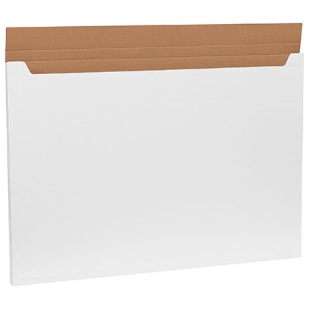 Bsc Preferred 38 x 26 x 6'' Kraft Jumbo Mailers, 20PK BUY00013187